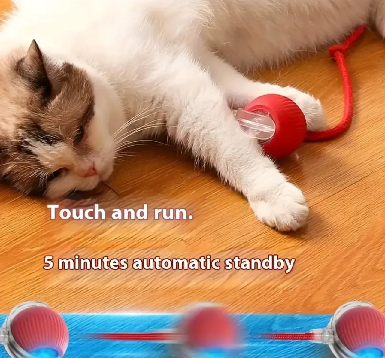 FurJoy™ WhirlTail Ball