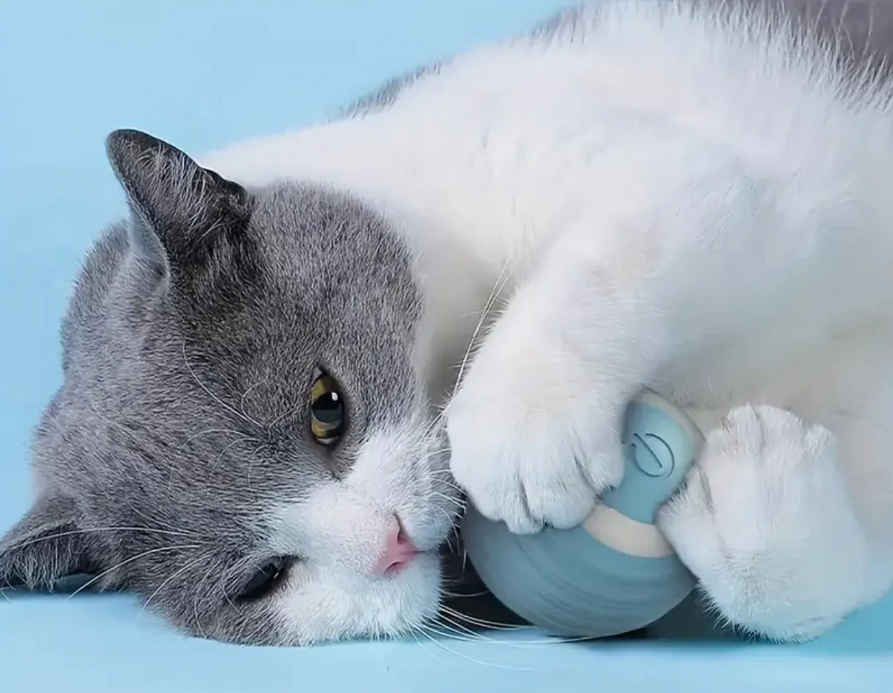 FurJoy™ Orbit Roller