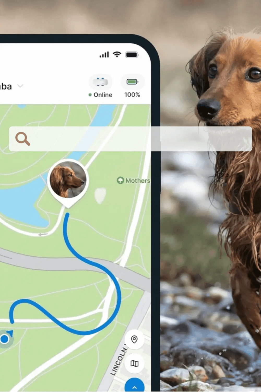 FurJoy™ FindMe Tag