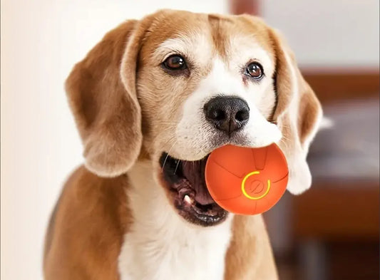 FurJoy™ JumpJoy Ball