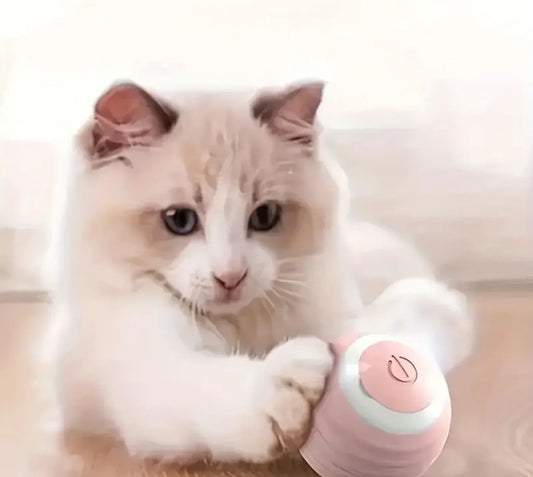 FurJoy™ Orbit Roller